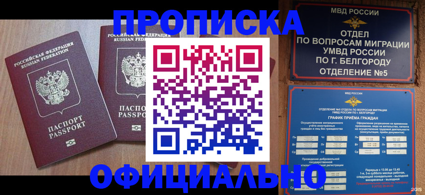 найти адрес прописки в Цивильске